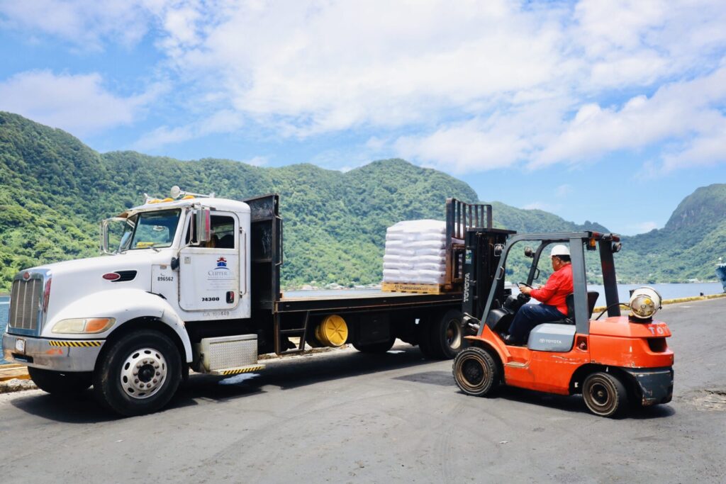 A forklift operator in a red vehicle unloads bags of coarse salt from a white flatbed truck parked on a road by lush green mountains under a blue sky with scattered clouds.